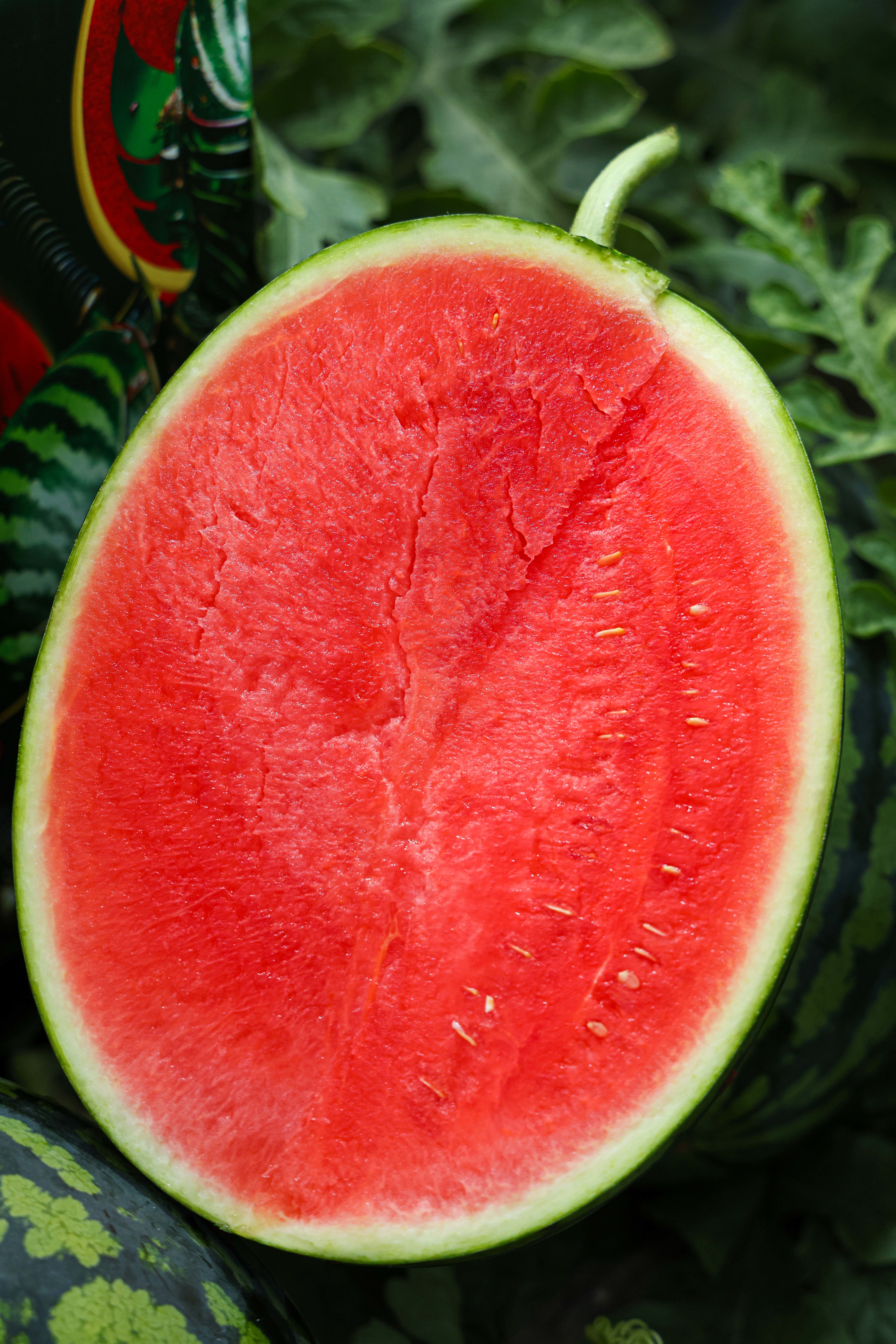 甘美将军4K西瓜：夏日清甜的极致享受