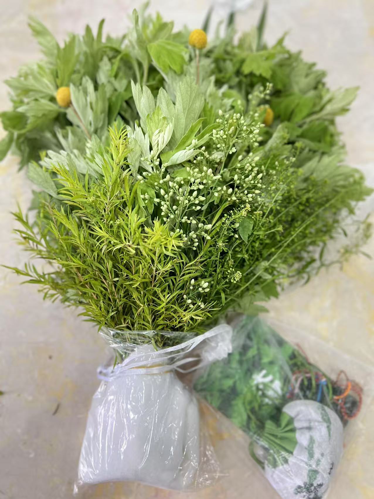 一束蕲艾寄端阳：门楣上的千年香事与人间温情