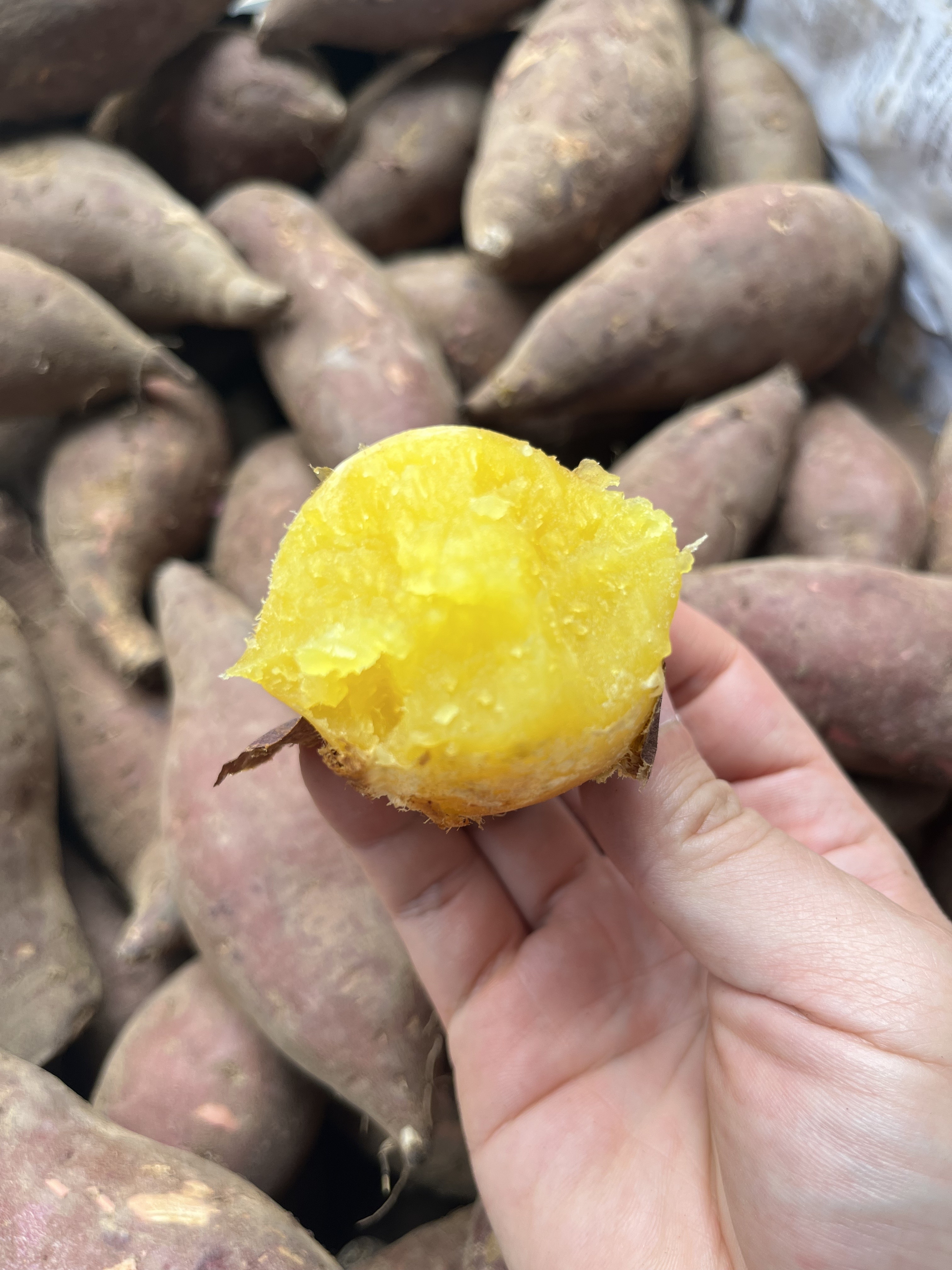 冬蜜红薯：藏在土里的甜，透着人间烟火气