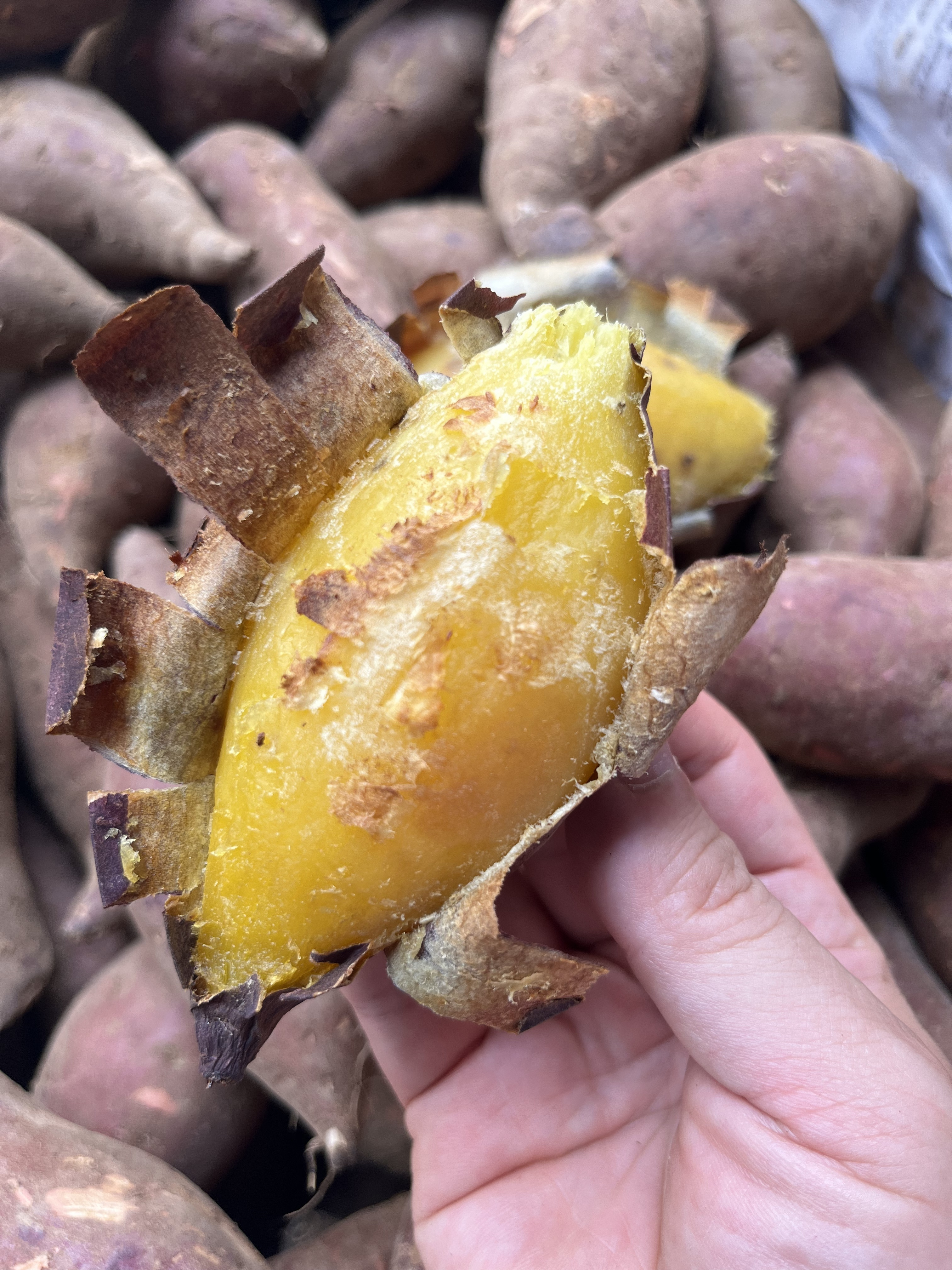 冬日窖藏的蜜糖心：一口冬蜜红薯咬碎寒夜的记忆