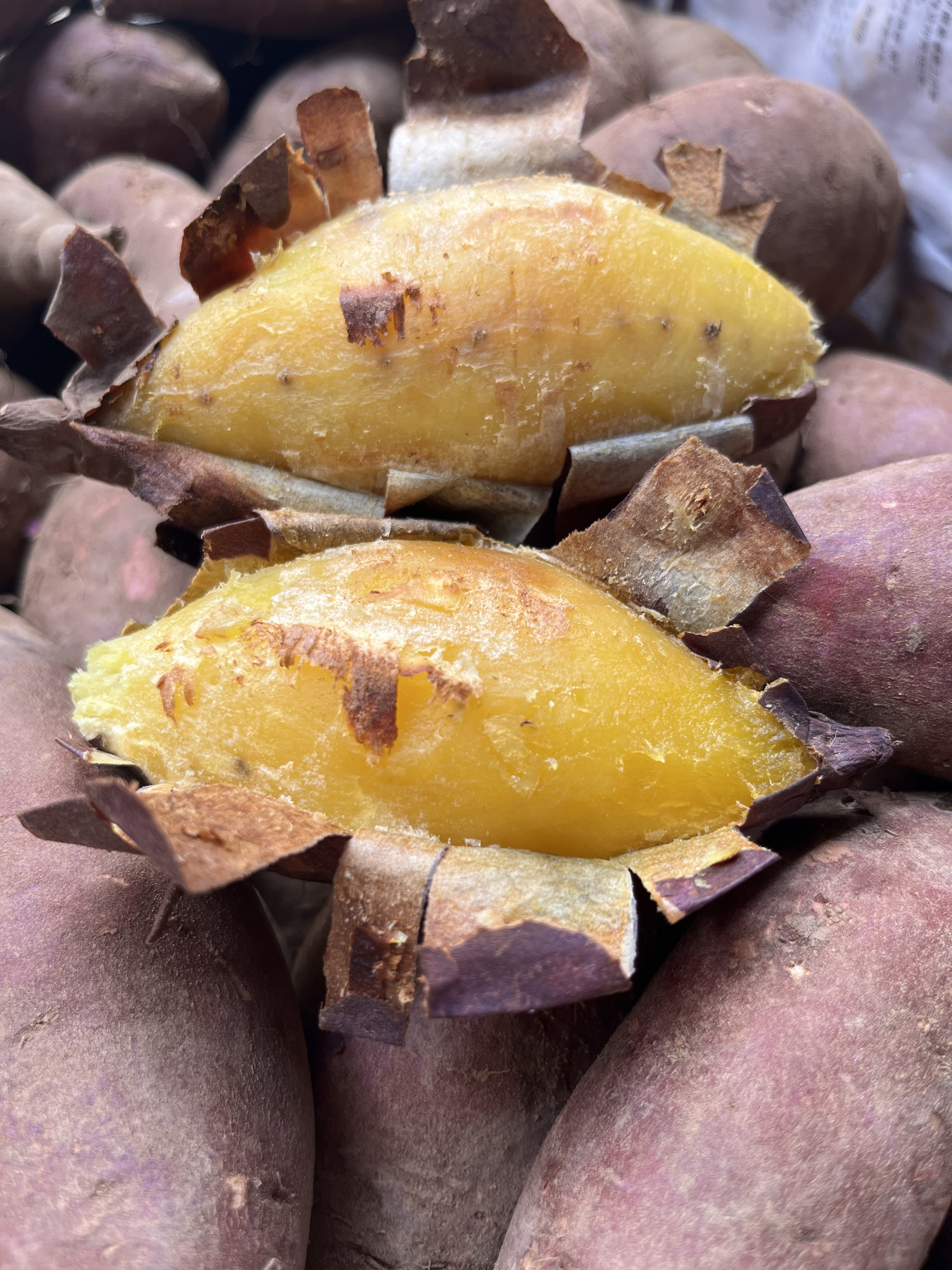 冬蜜红薯：在甜糯里遇见土地的诗意