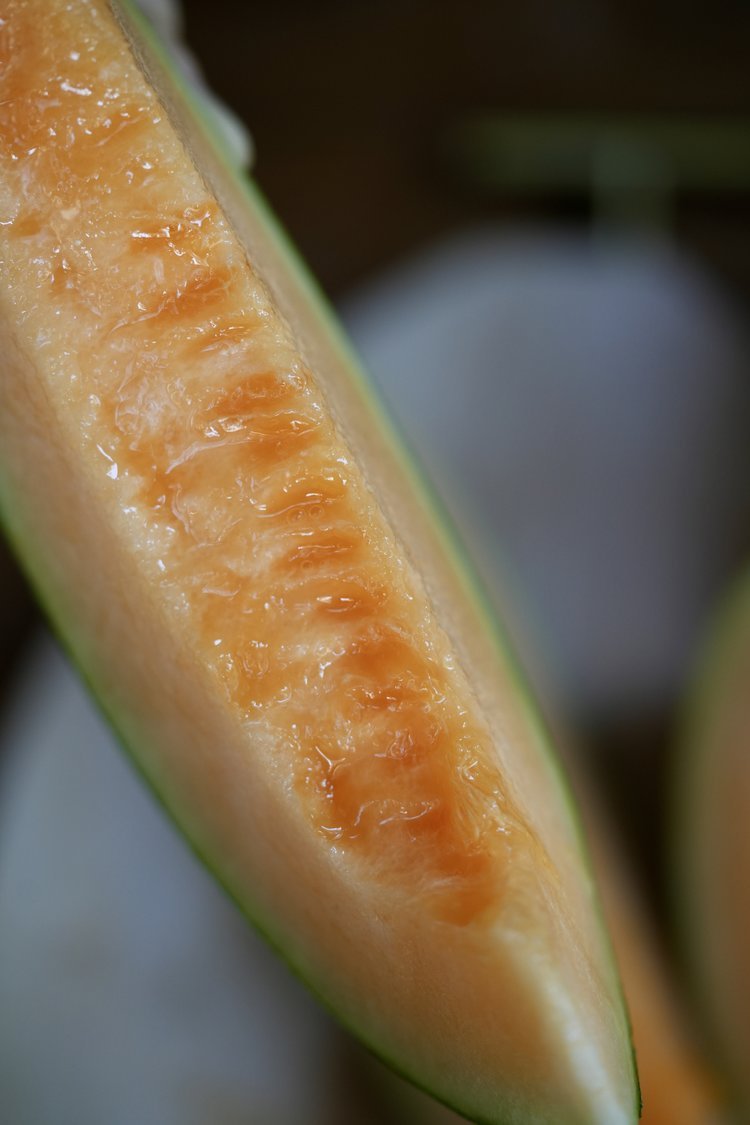 火焰山下的蜜意传奇：这颗老品种哈密瓜，藏着西域千年的阳光