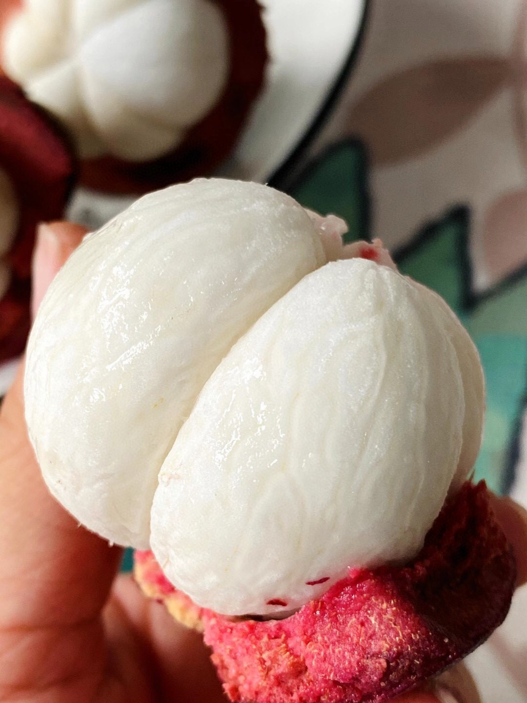 一口爆汁的泰国老树山竹4-5A大果，解暑降火正当时！