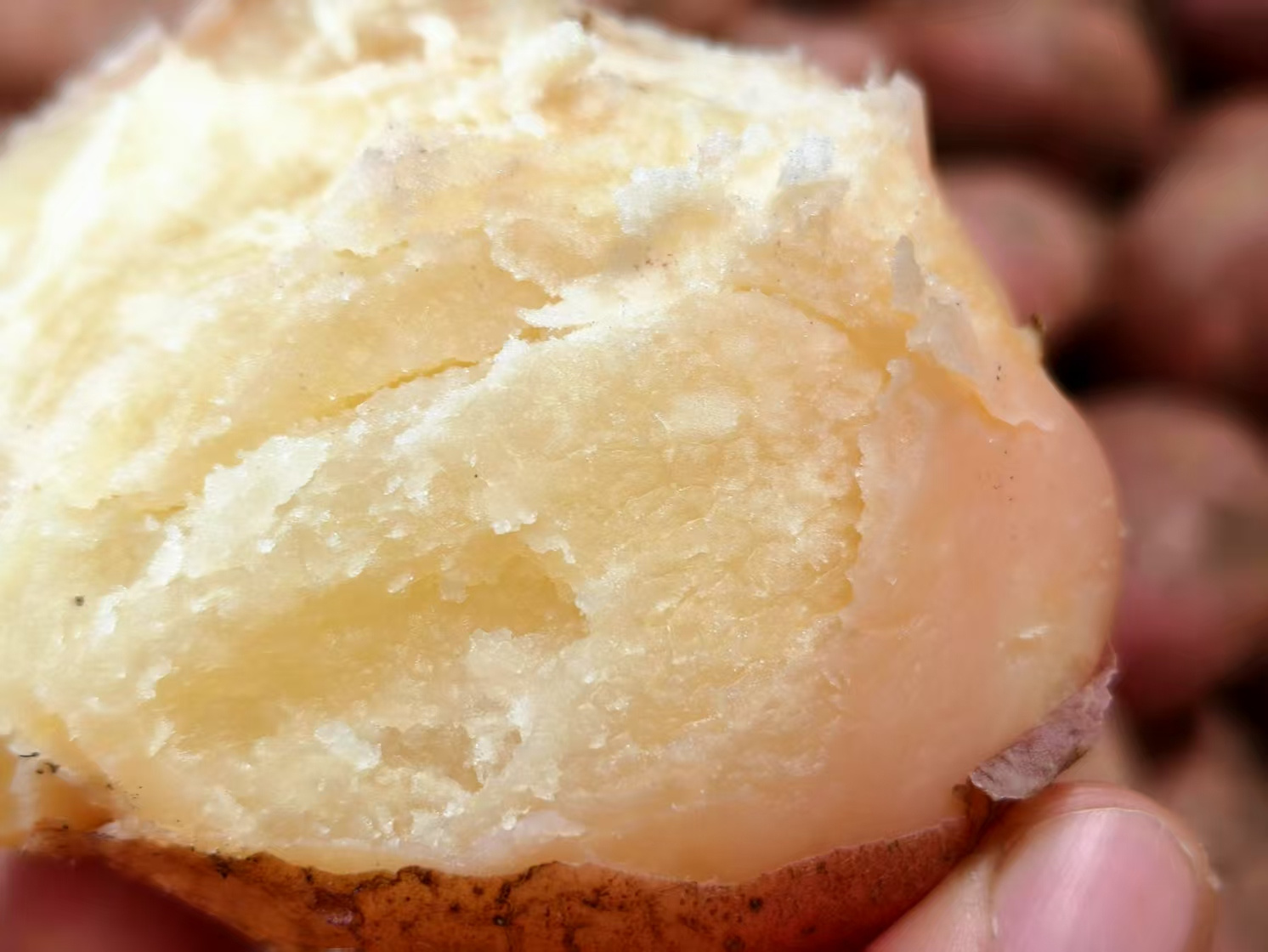 为宝宝的健康加分，云南红皮小土豆让辅食更美味