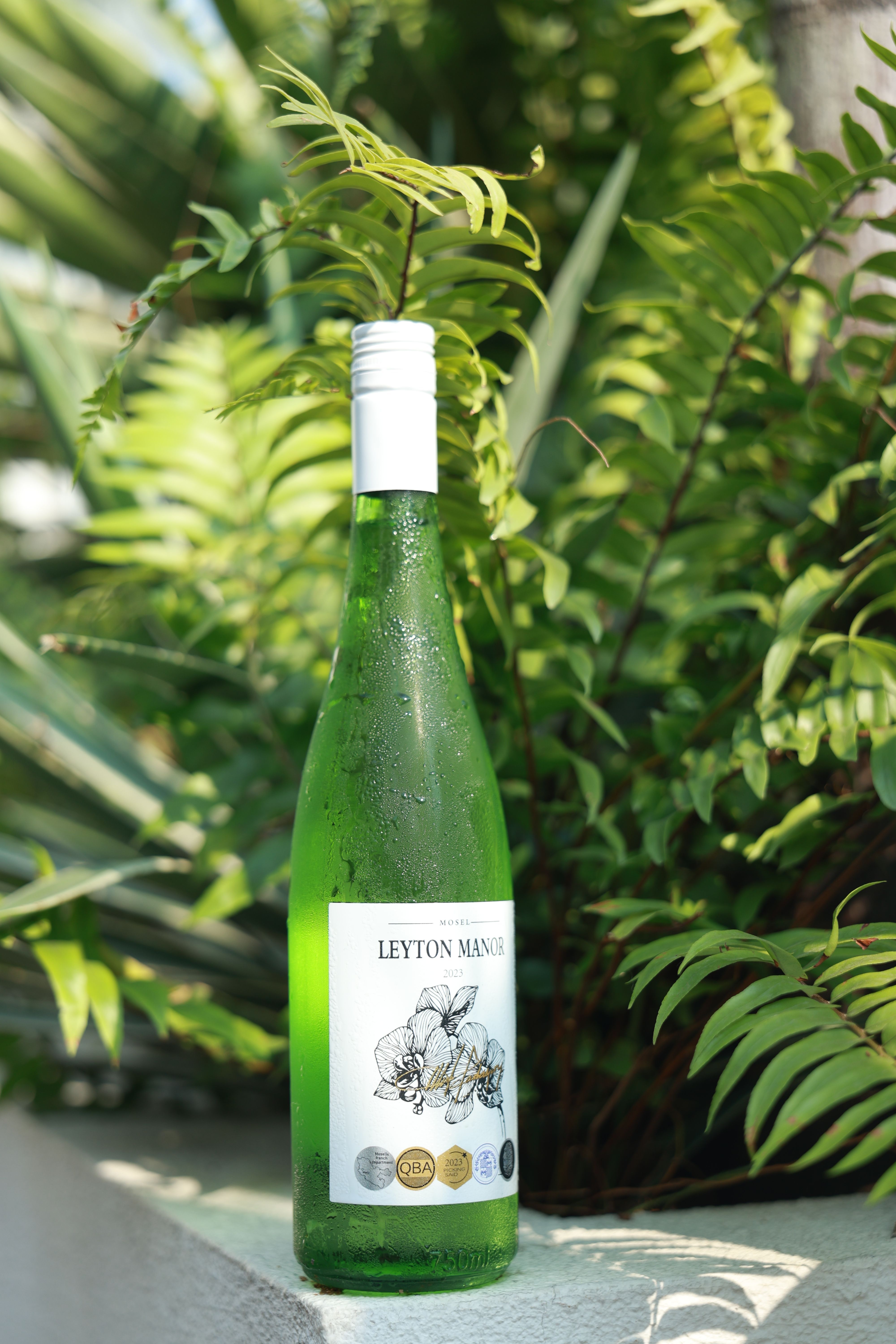 米其林同款的摩泽尔雷司令：三世纪酒庄的板岩陡坡传奇