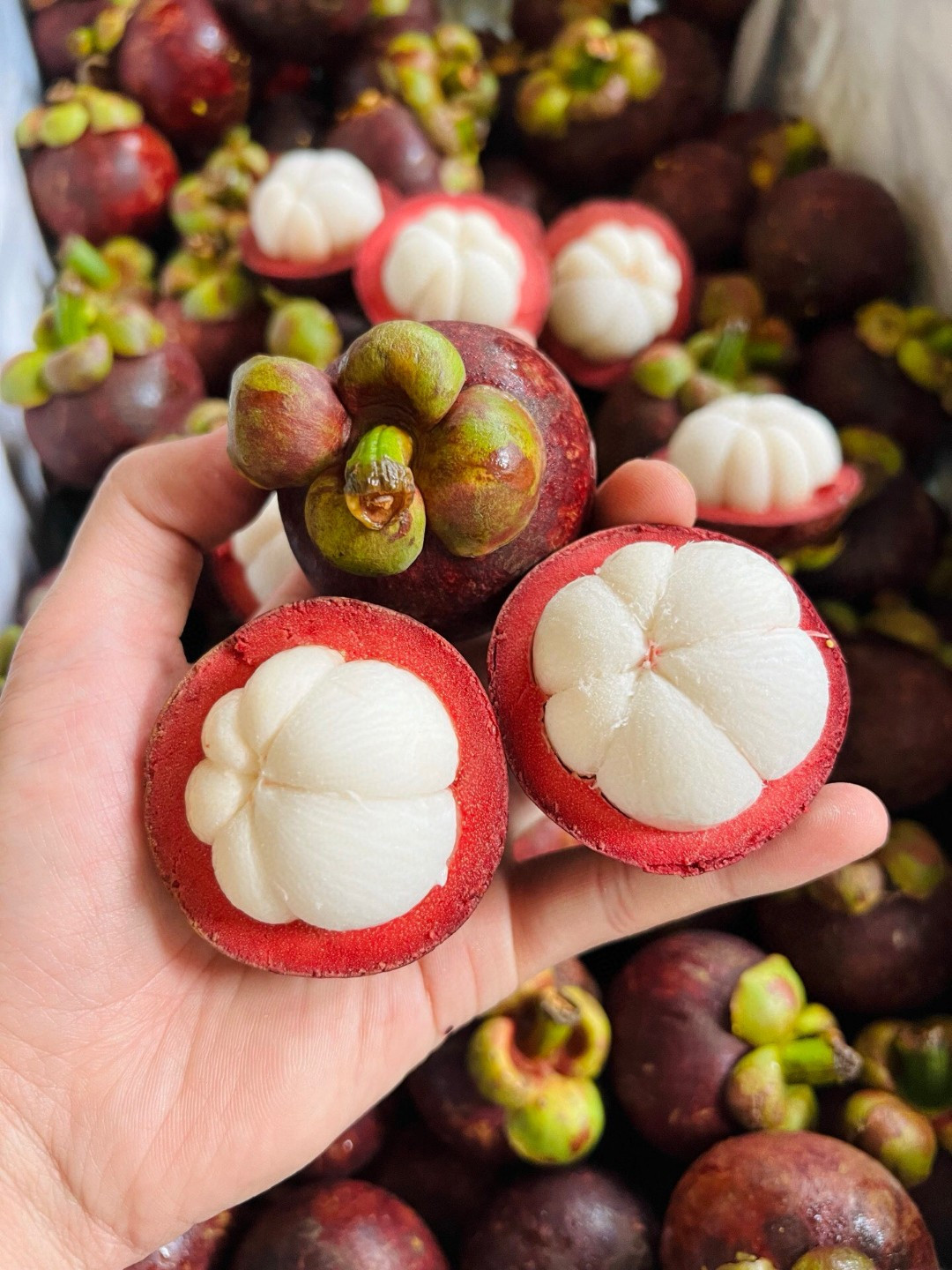 老树山竹：藏于壳中的泰北雪，夏日舌尖的一缕清风