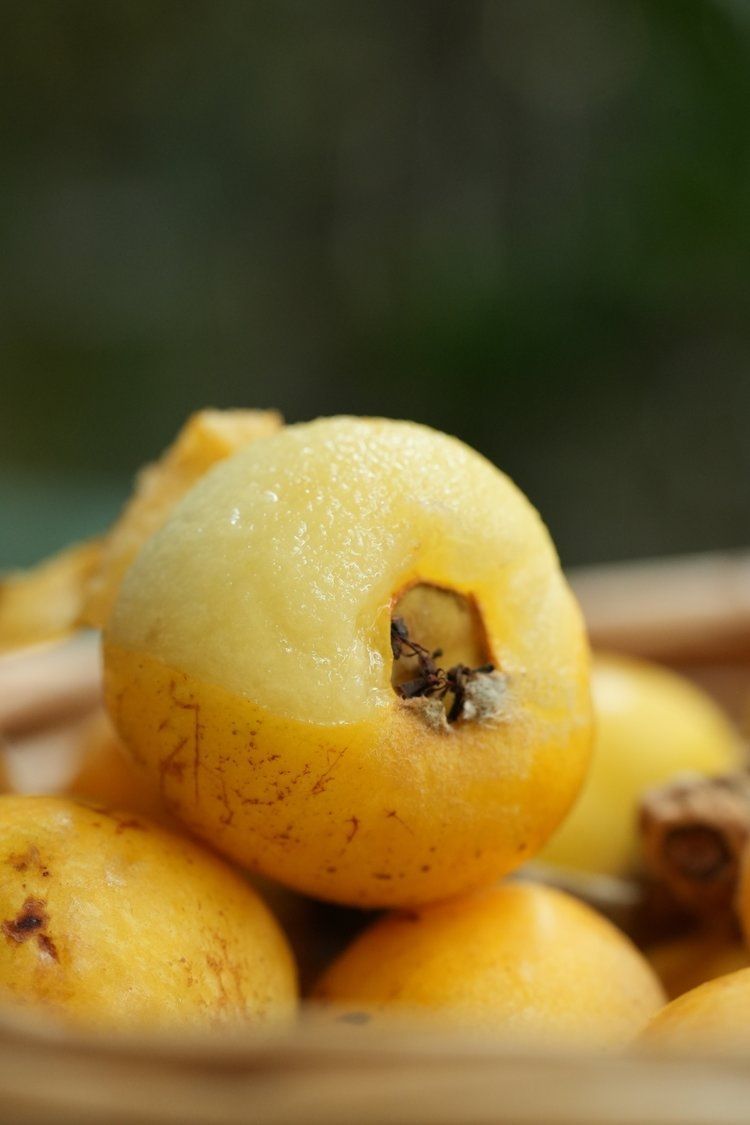 正宗东山白玉枇杷——让生活充满甘甜与智慧的滋味