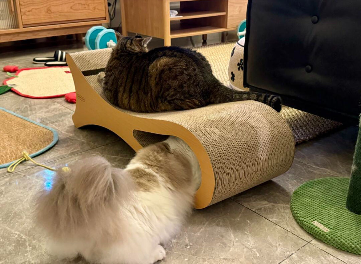 给毛孩子的天然礼物：派比邻0甲醛猫抓板的温暖哲学