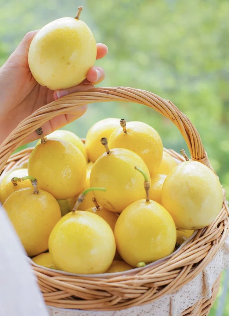 黄金百香果：一口咬下热带阳光的诗意