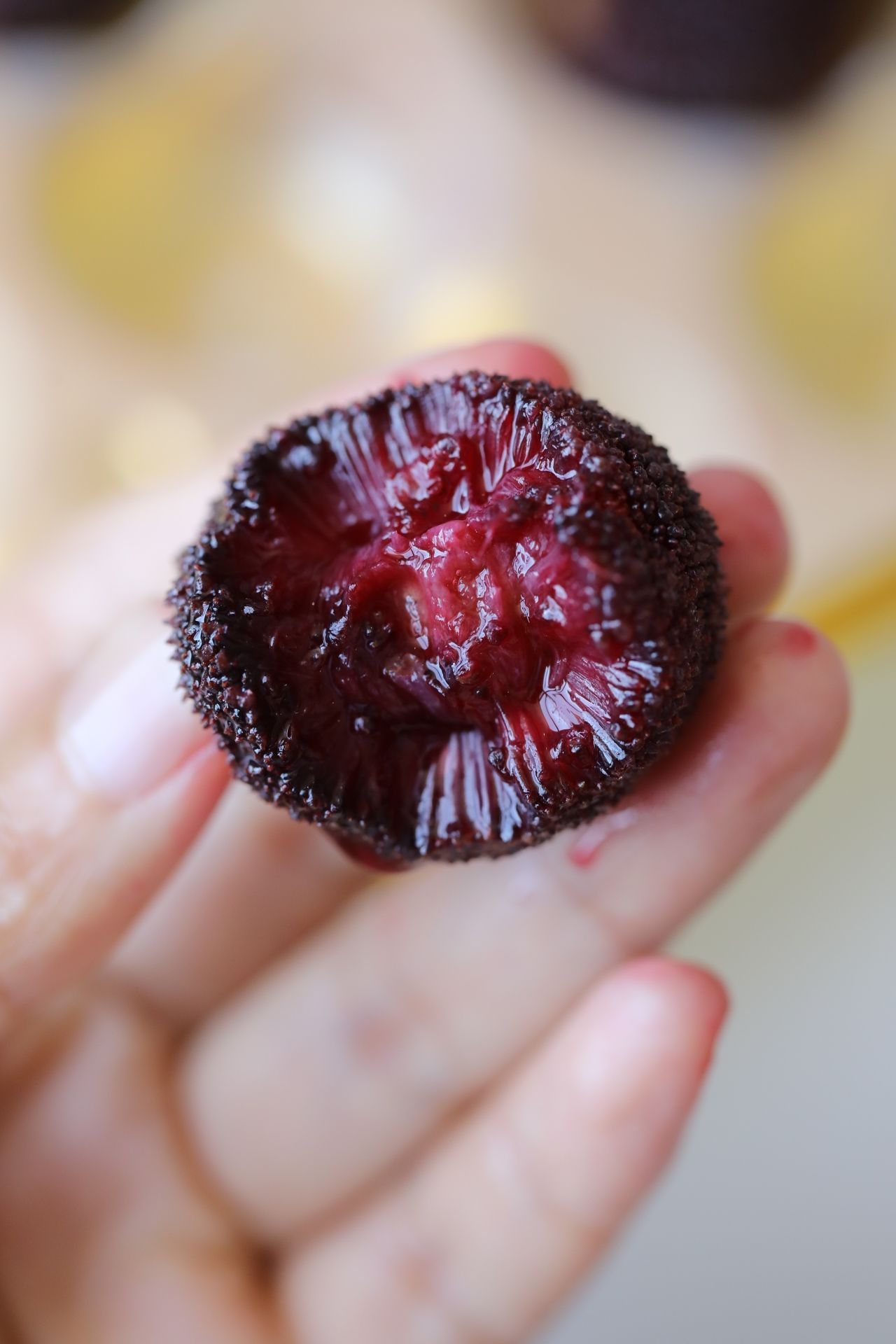 『云南老树·东魁杨梅』：一口甜酸，满足整个夏天的想念