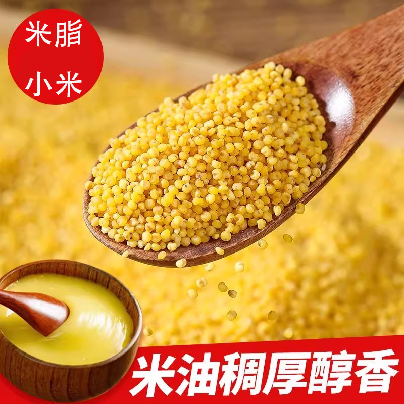 米脂小米：一口千年黄土地的阳光密码