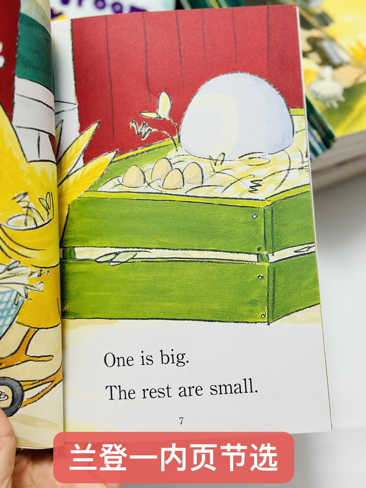 兰登分级读物：用世界的文字，浇灌童年的花田