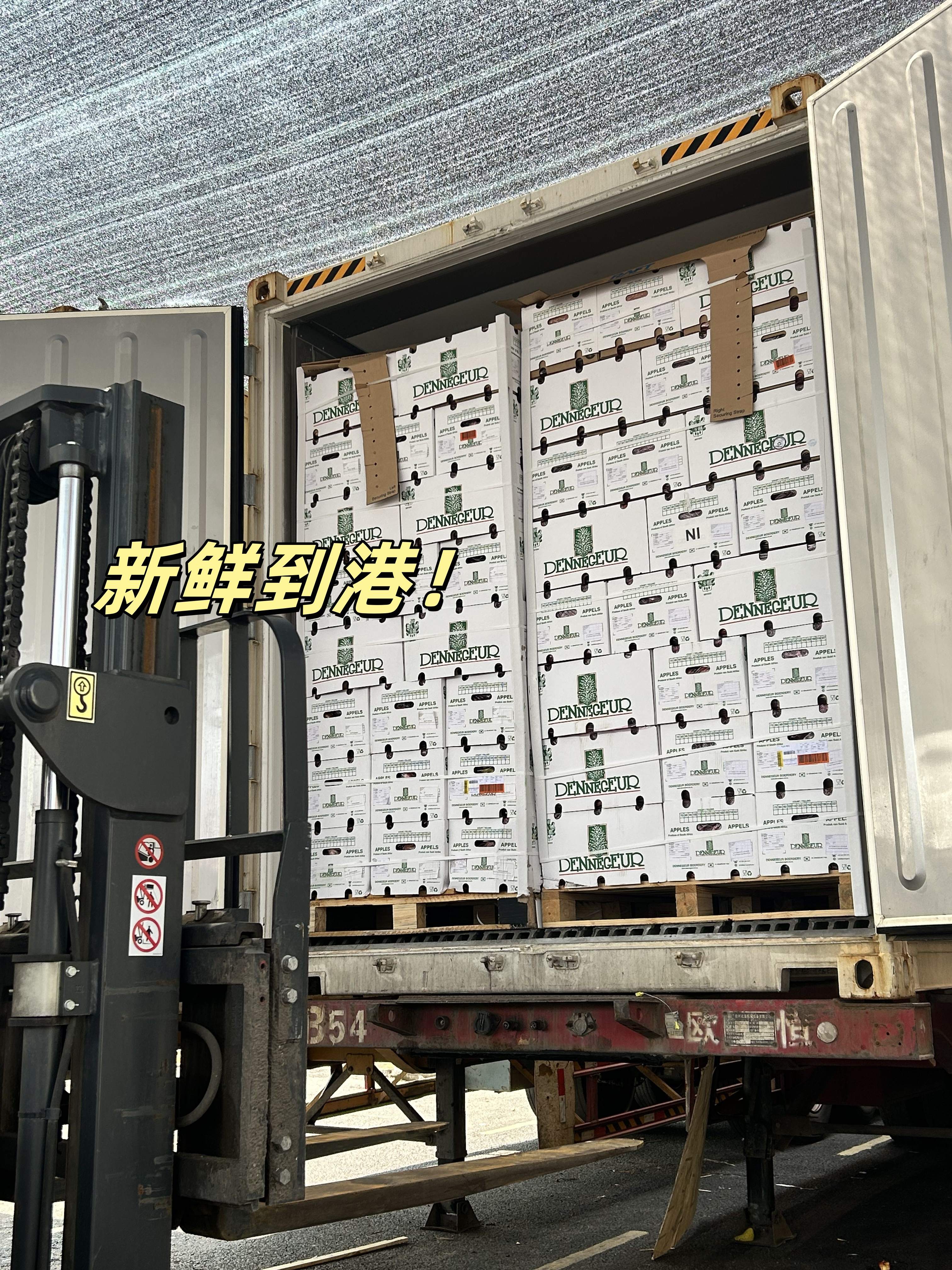 南非冰糖小苹果：被阳光吻过的嘎嘣脆小甜心