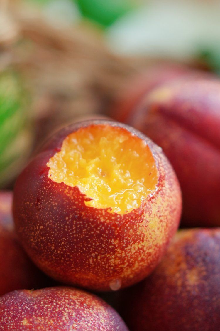 麻点油桃：时光窖藏的甜蜜，咬一口就回到童年