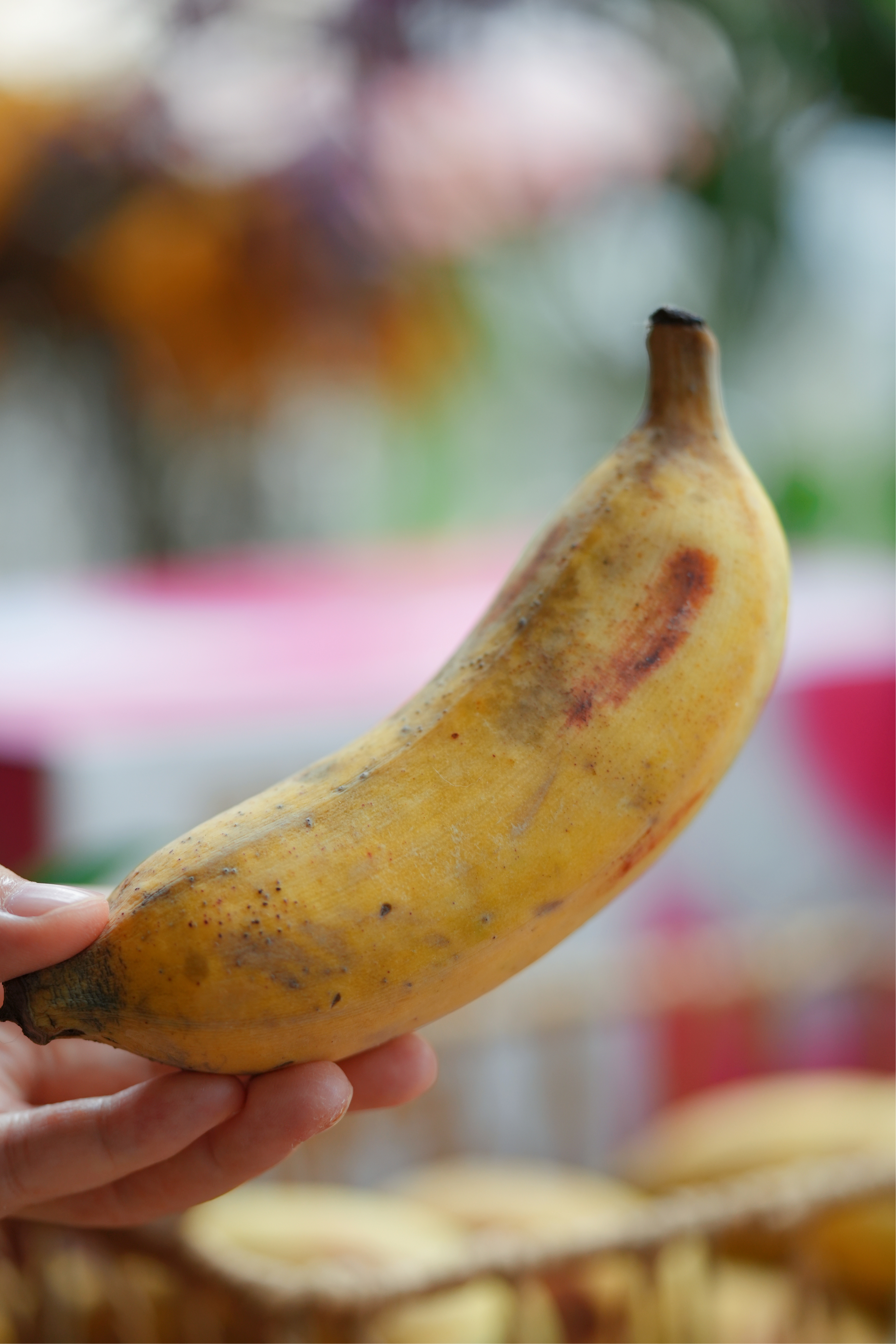 寻味童年·阳春生态糯米甜蕉限时尝鲜