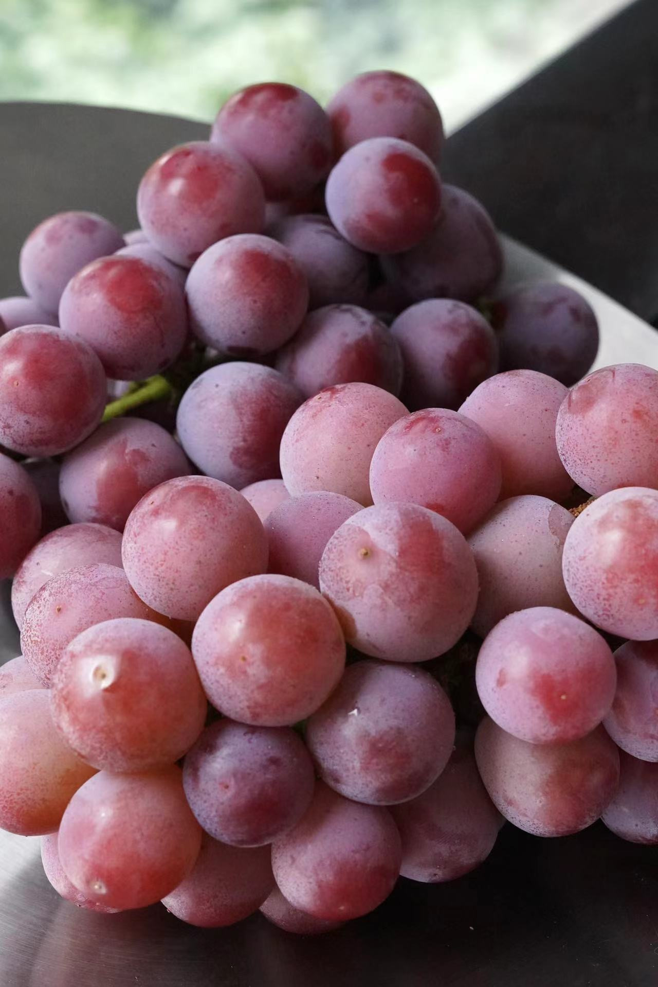 妮娜皇后葡萄：水果界的红宝石，一口穿越法兰西葡萄园