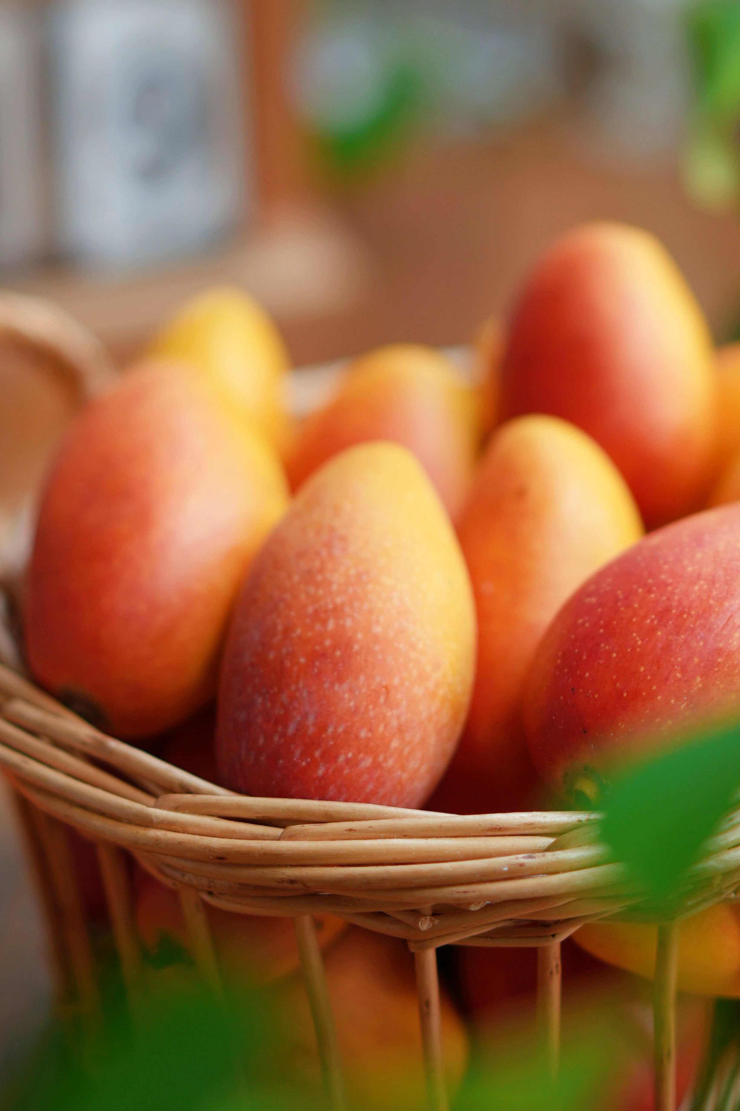 攀枝花高山树熟贵妃芒：阳光与海拔的甜蜜馈赠