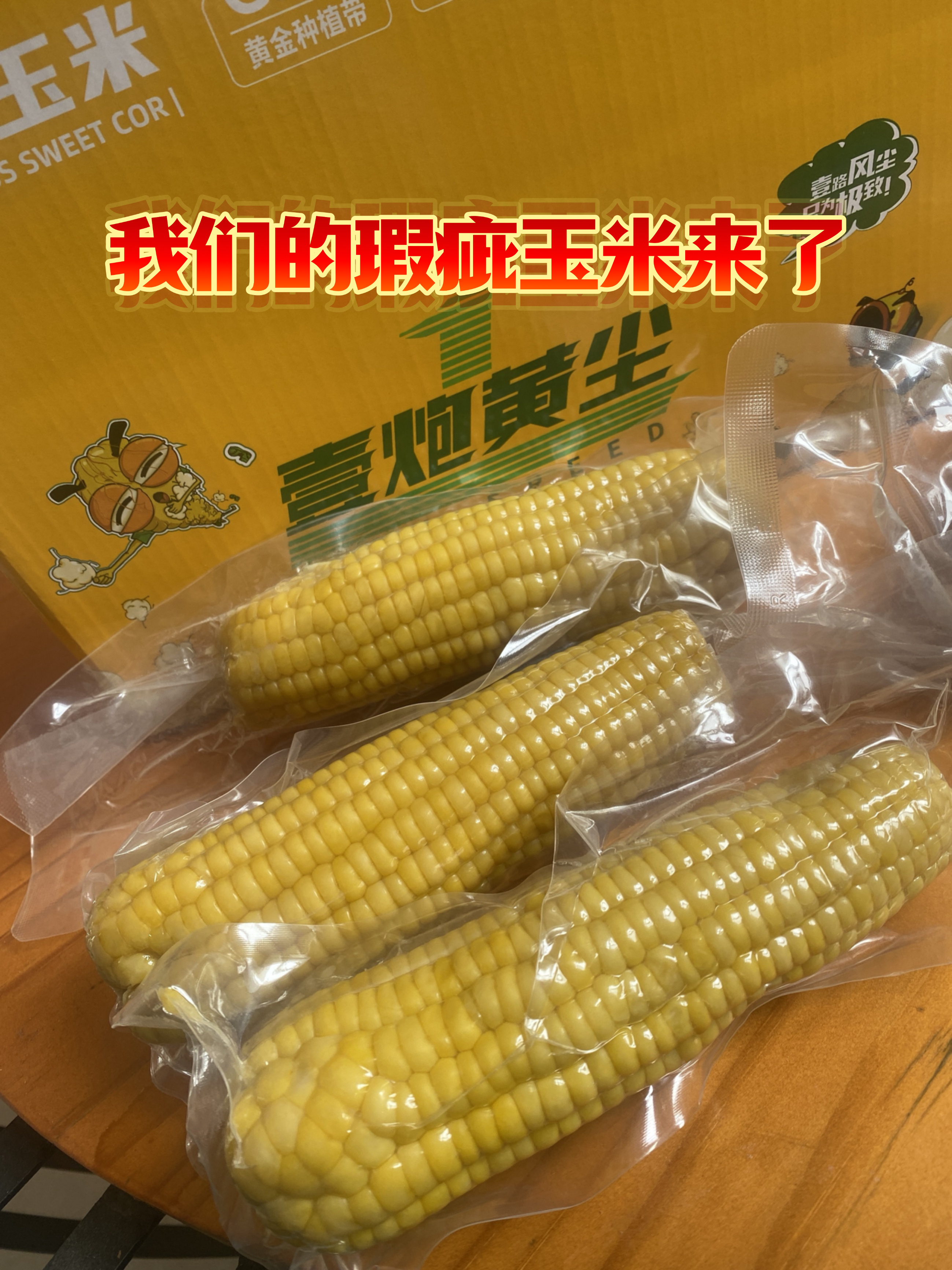 『壹炮黄尘』玉米：北纬40度的黄金糯甜，藏在“瑕疵”里的馈赠