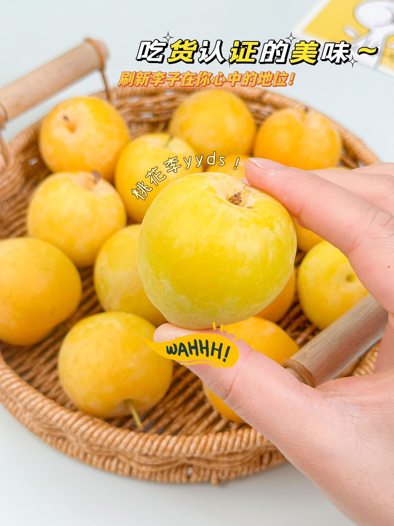 冰糖桃花李：舌尖上的夏日，记忆里的温柔