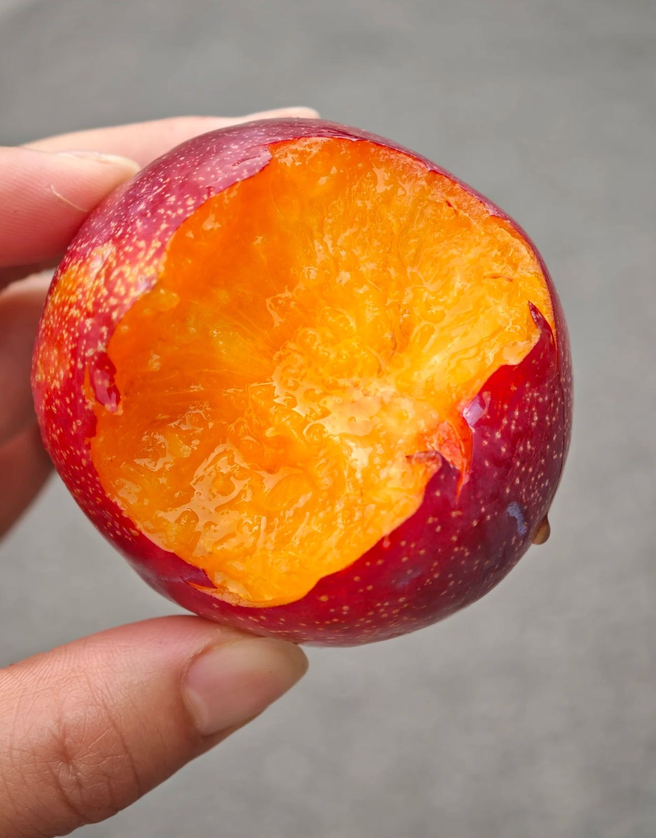 秦岭崖边的红宝石：咬一口凤凰鸡心李，尝尽陕西的夏日风骨