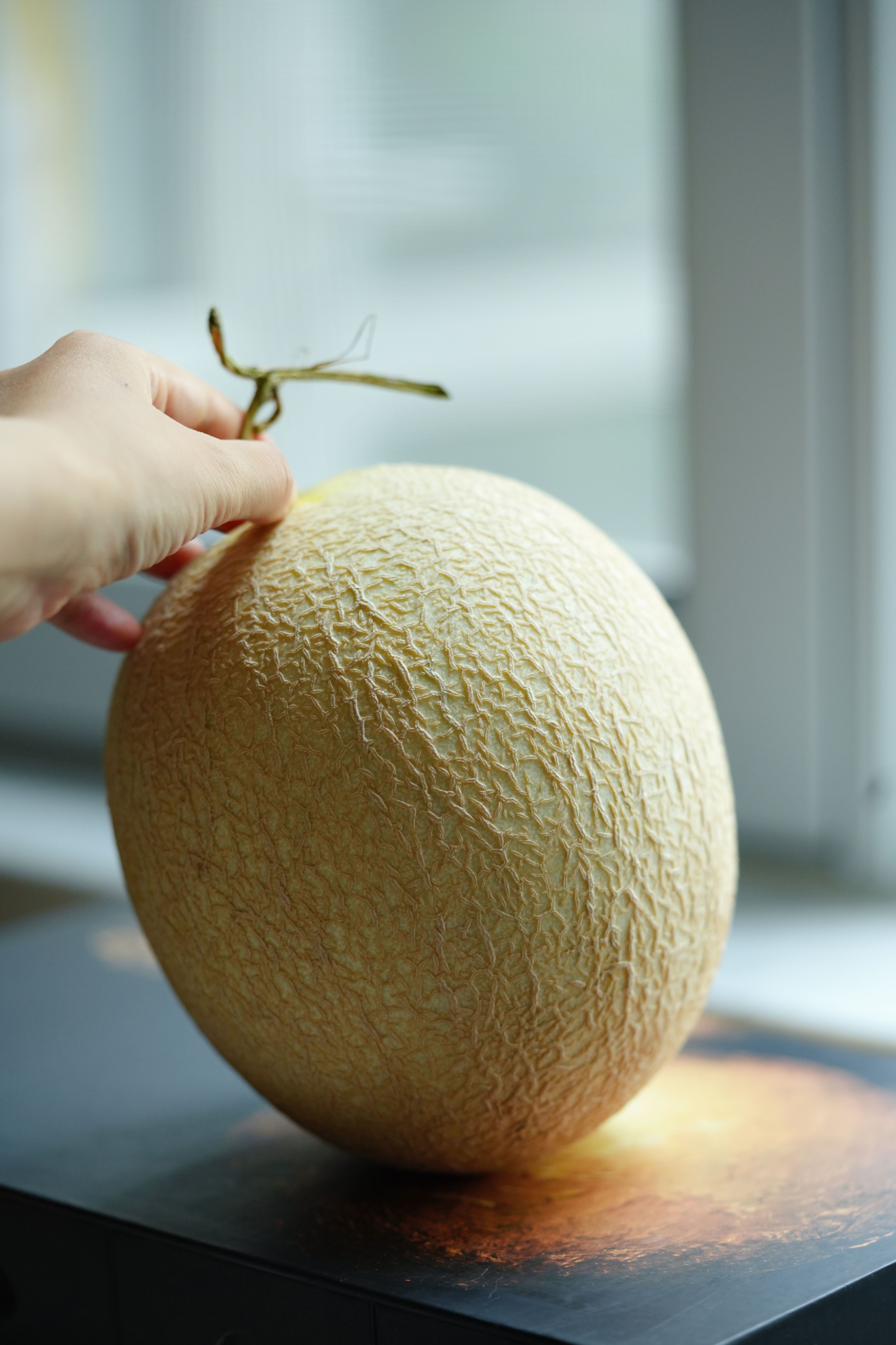 石头缝里蹦出的甜神仙——护山蜜瓜的高山修炼手册