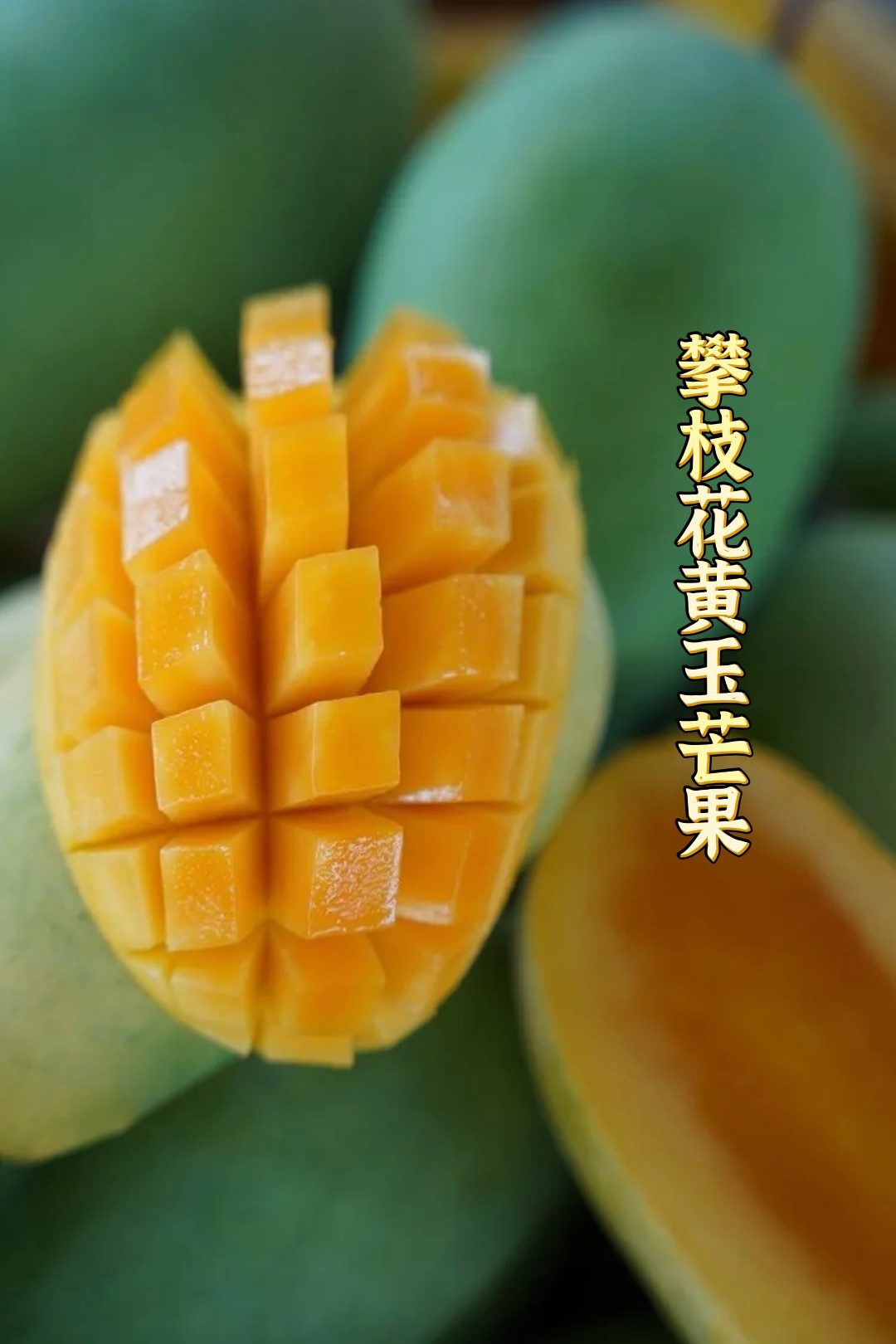 黄玉芒果：盛夏里的果冻诗篇