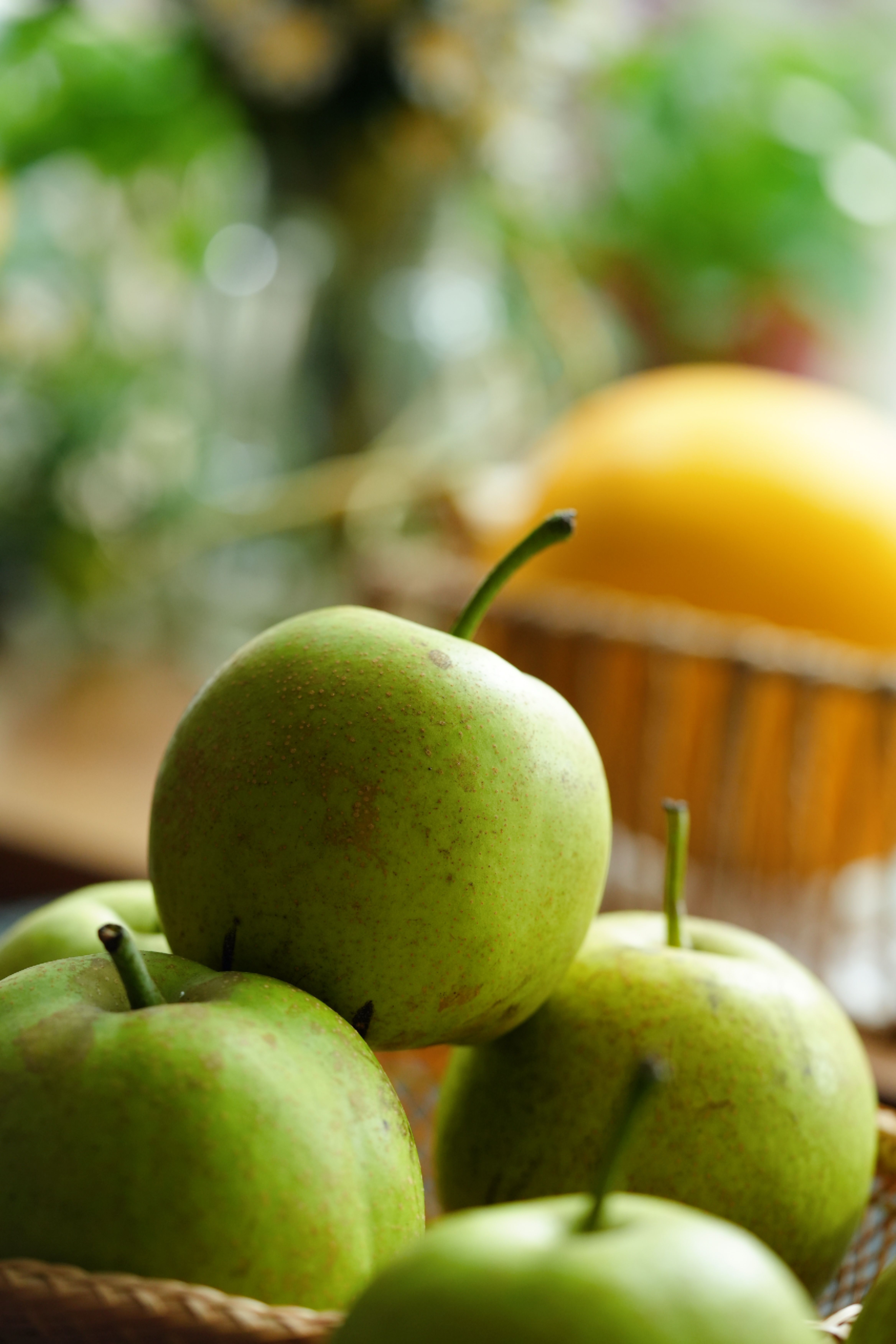 沙河二号翠梨：藏在半坡阳光里的那口甘甜