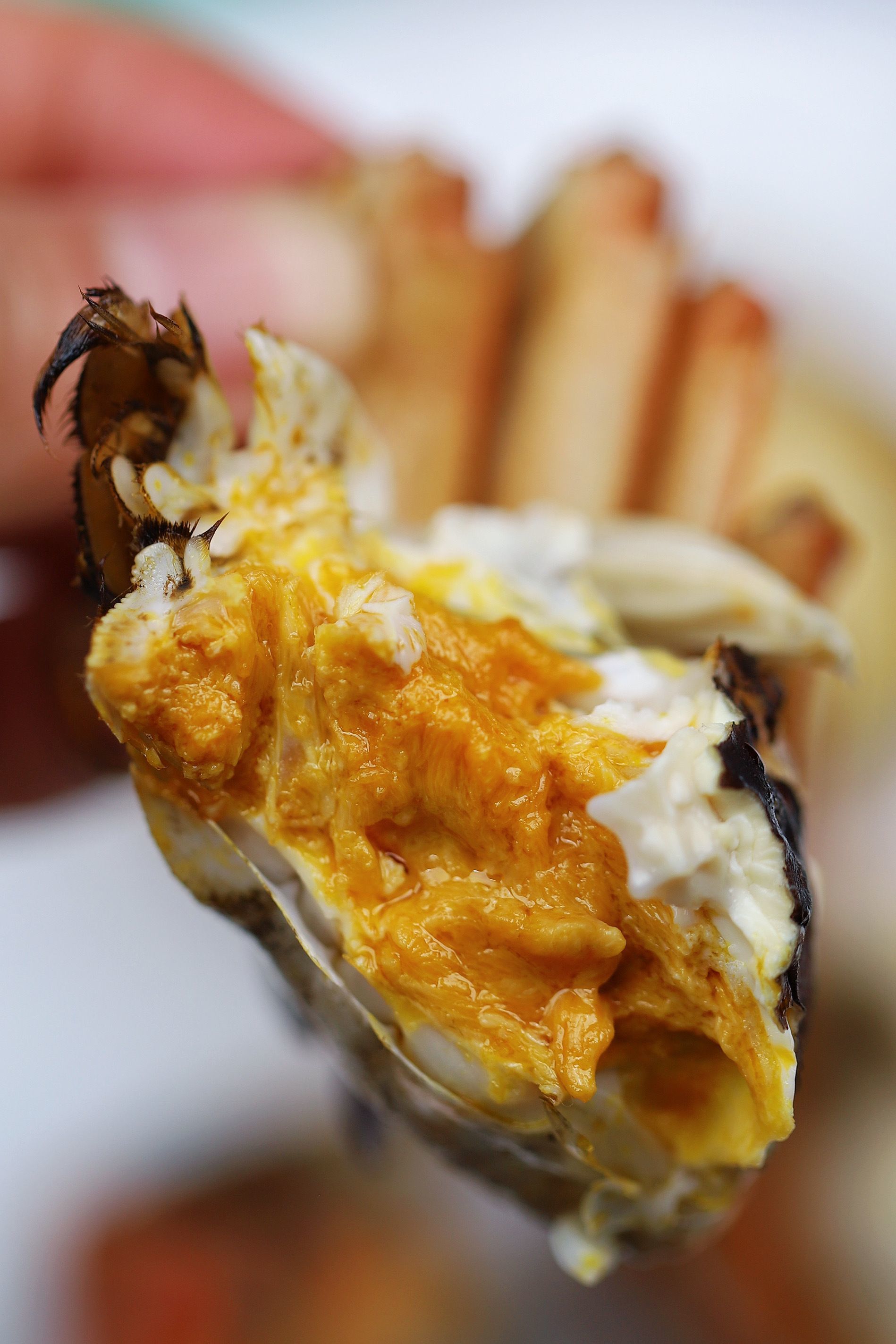 蟹思源顶壳六月黄：阳澄湖的夏夜诗意，都藏在这口童子蟹里