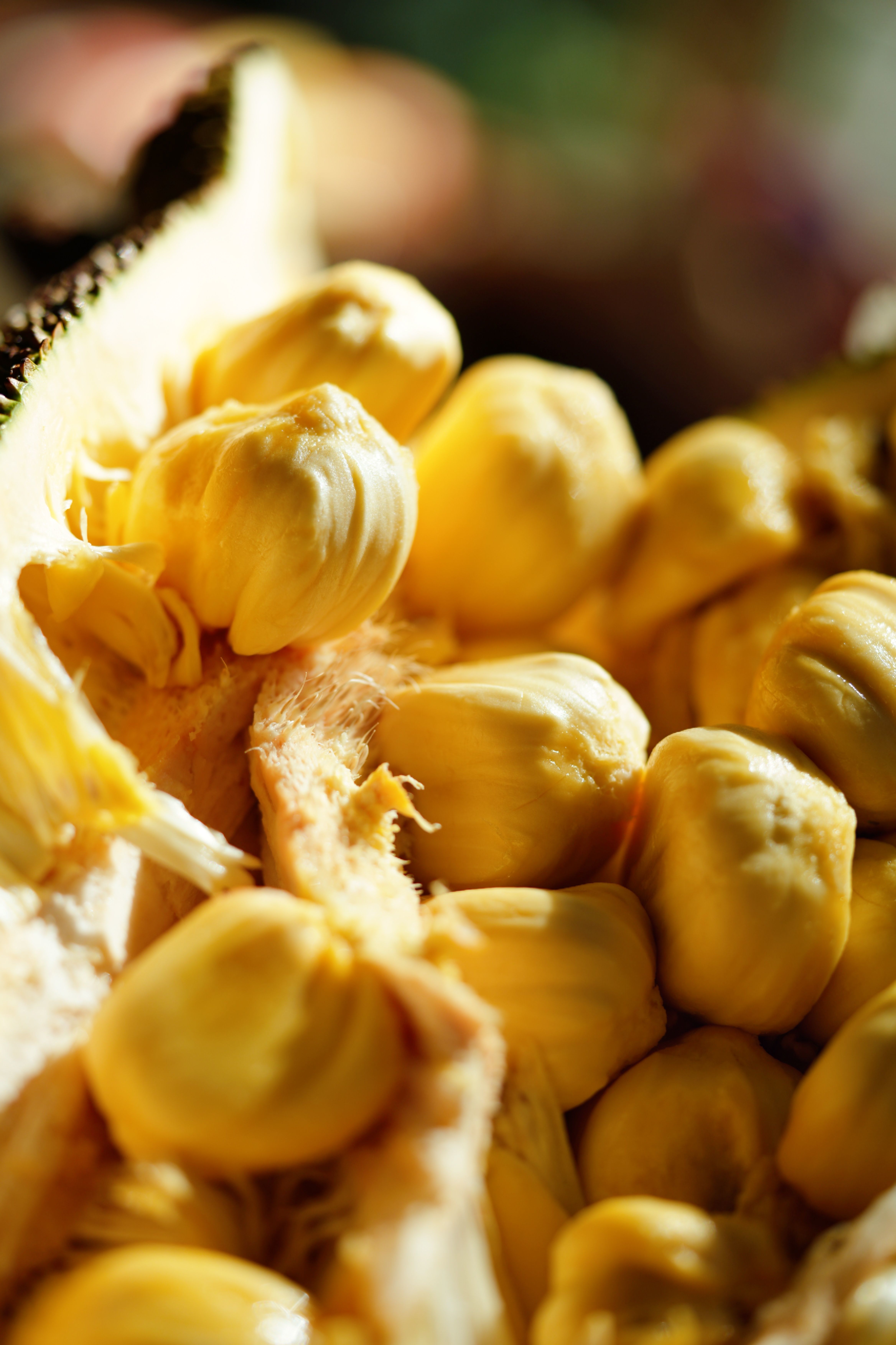 奶白榴莲蜜：一口温柔的热带甜蜜