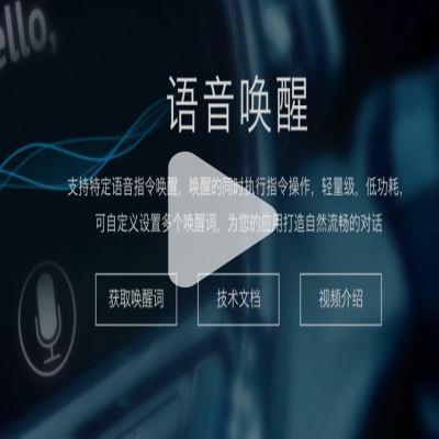 同声翻译器哪个品牌好- 拼多多